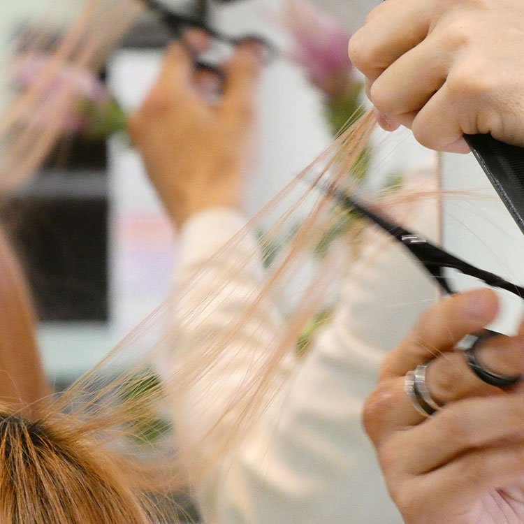 DRYCUT<br>ドライカットのお店