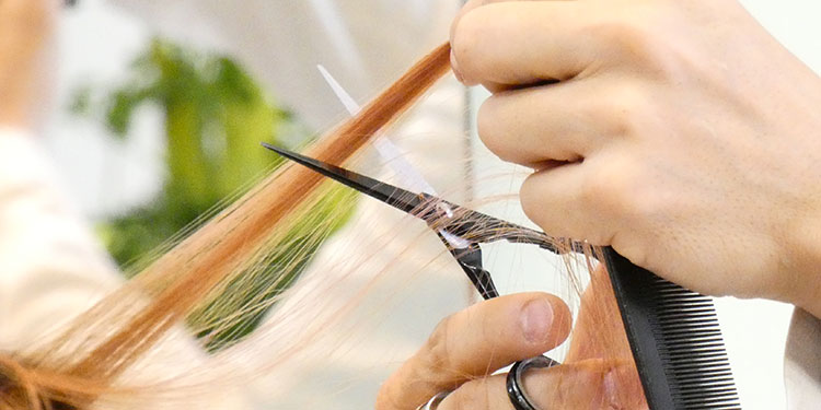 再現性と持続性